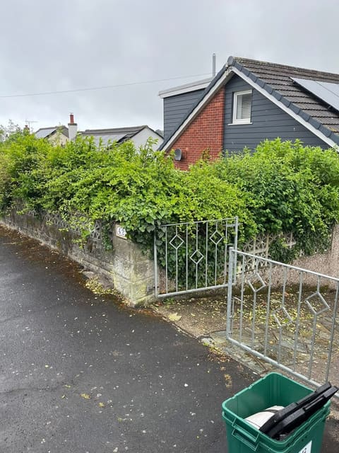 The same drive before the work: worn tarmac with moss and leaves, and an old metal gate at the entrance.